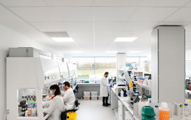 Article | Inside the breakthrough that could take lab-grown meat from the lab to the supermarket