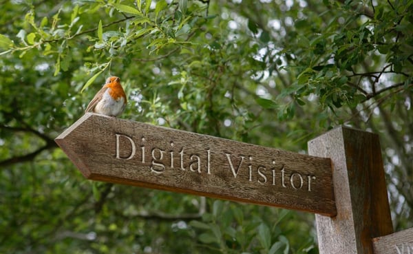 RSPB Appoint Digital Visitor to Expand Appeal to New Audiences