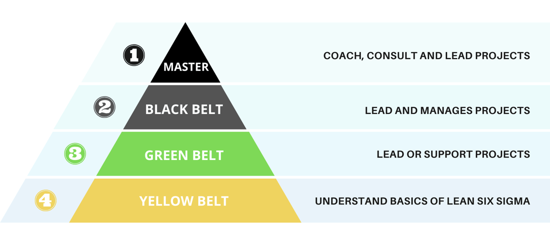 Best Six Sigma Training Malaysia Six Sigma Certification Consultation