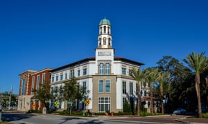 Maitland SEO