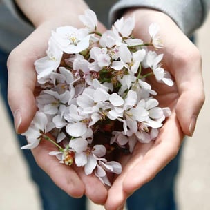 celebrate giving tuesday - photo by Chungkuk Ba via unsplash