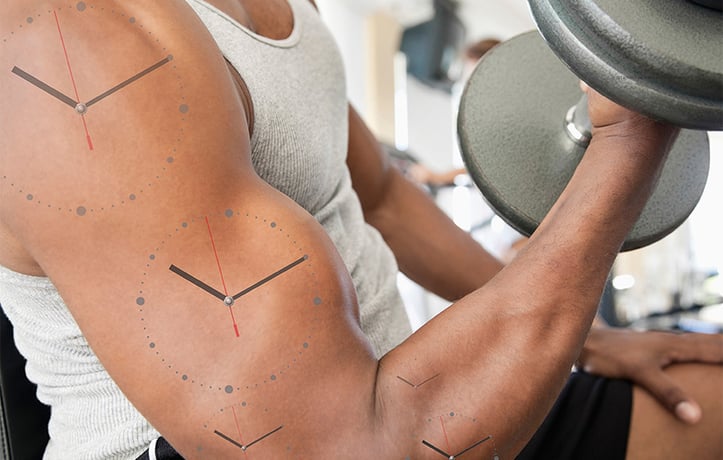 a man doing a bicep curl with clock diagrams on his arm muscles