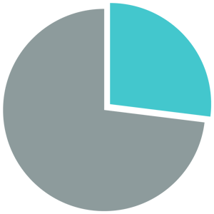 29% pie graph