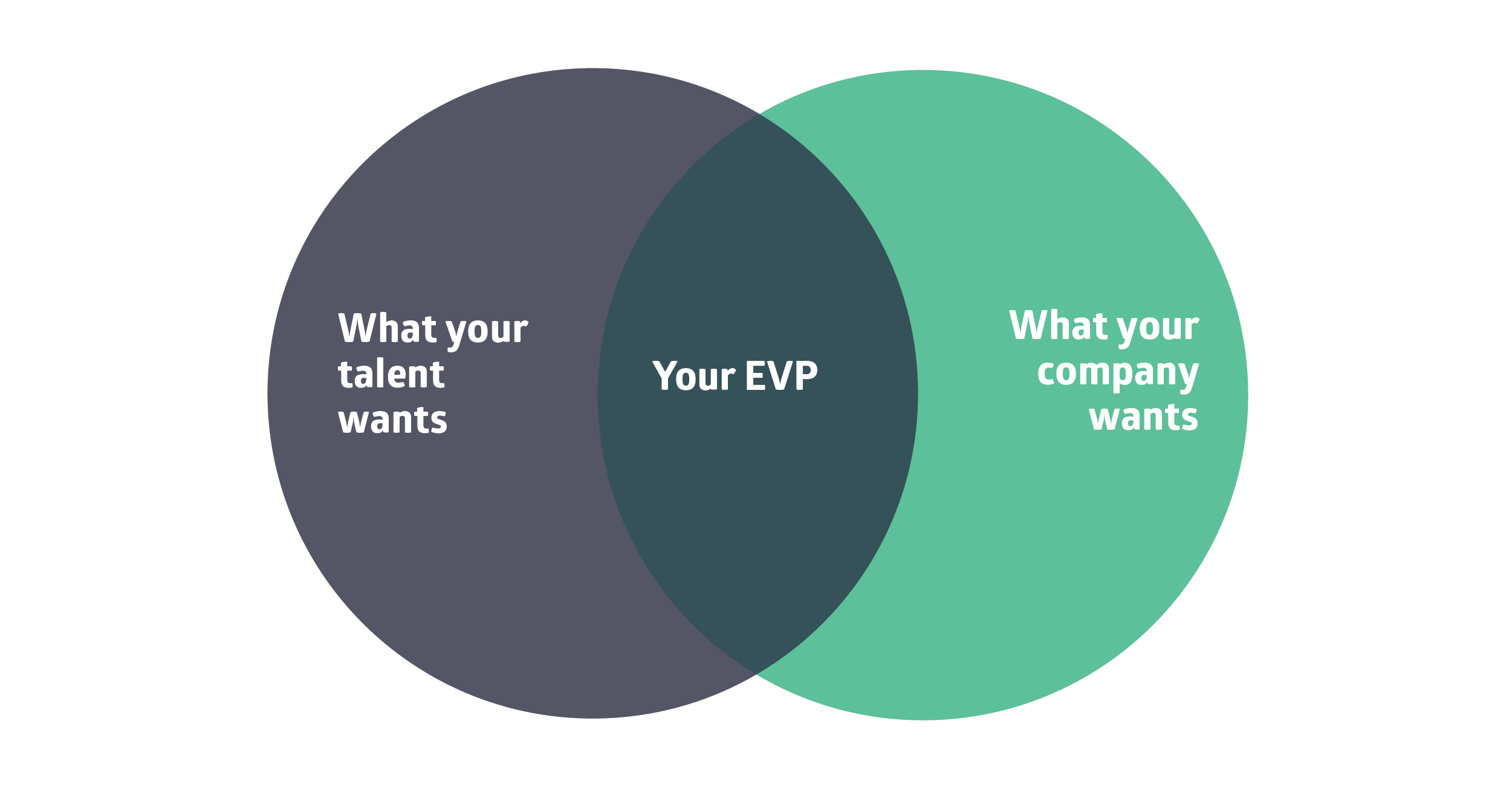 What is EVP-02