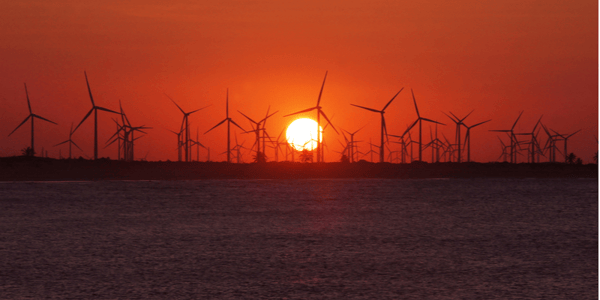 Wind energy in Brazil breaks records and creates jobs