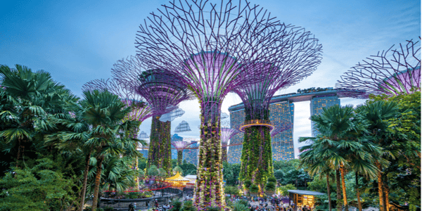 How to start a business in Singapore: A guide for SMEs