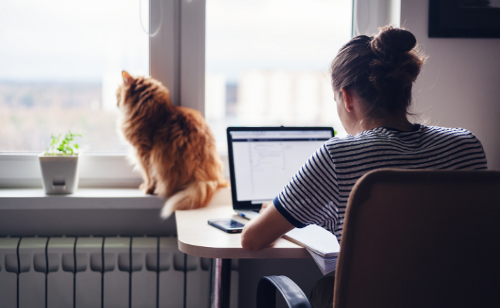 How to Bridge the Technology Gap Between Home and Office Working