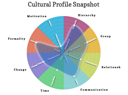 Your ‘Cultural Profile Snapshot’ Is Like Your Cultural Fingerprint