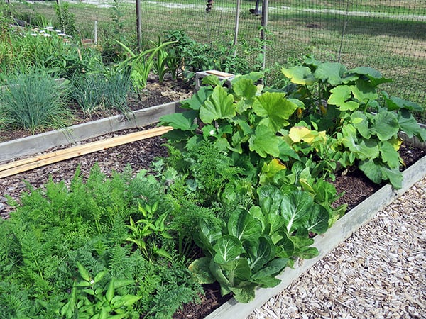 Community Gardening is for Everyone