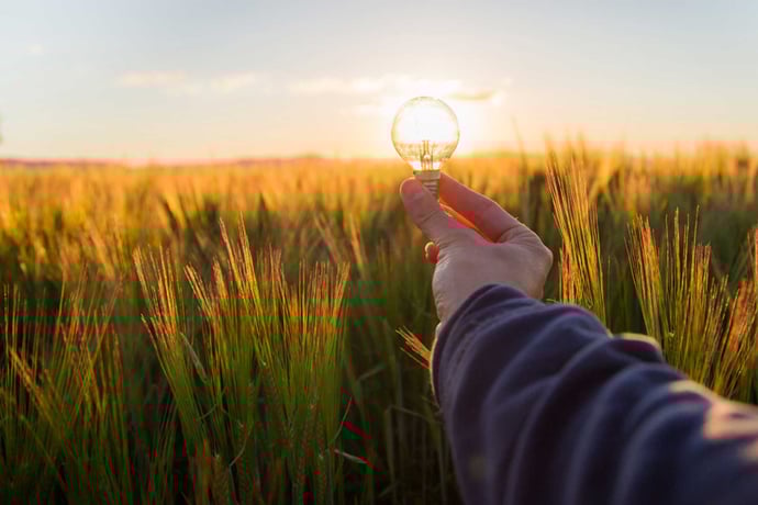 SAP NOW Germany 2021: Unsere Themen für das Intelligent Enterprise