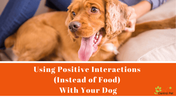 Using positive interaction instead of food to train your dog