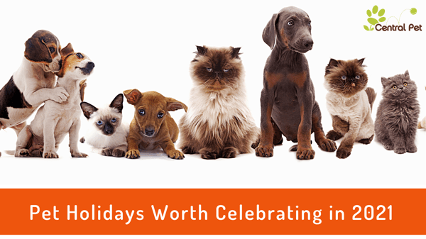 2021 pet holidays that are worth celebrating