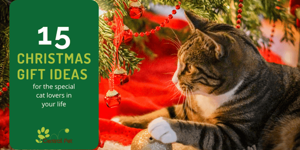 15 gift ideas for cat lovers