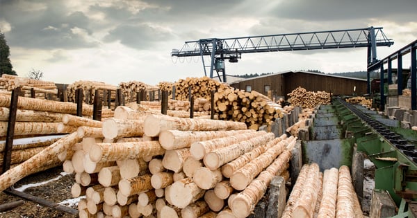 Решения Columbus для оптимизации деревообрабатывающего бизнеса
