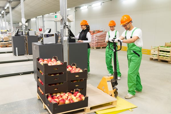 How can food and beverage manufacturers improve supply chain performance