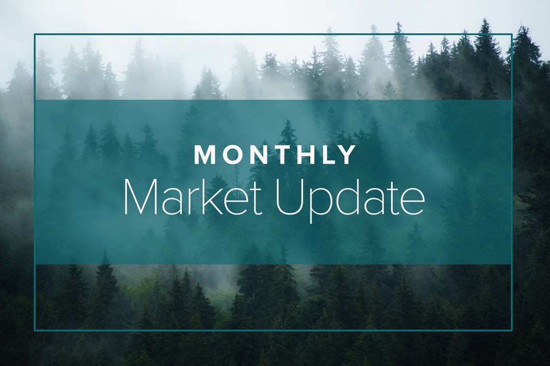 November 2021 Market Update