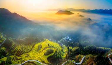 Aerial photography vs photogrammetry