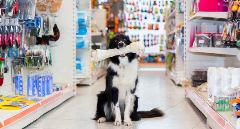 How To Use Growth Capital to Grow Your Pet Store