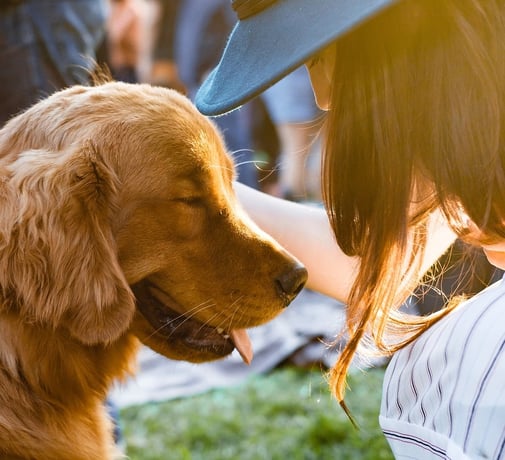 Pet Insurance: Spend Money on Your Pet, Not The Vet