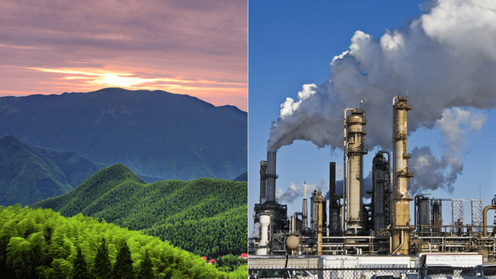 Is bamboo decking more sustainable than alternative decking materials? 