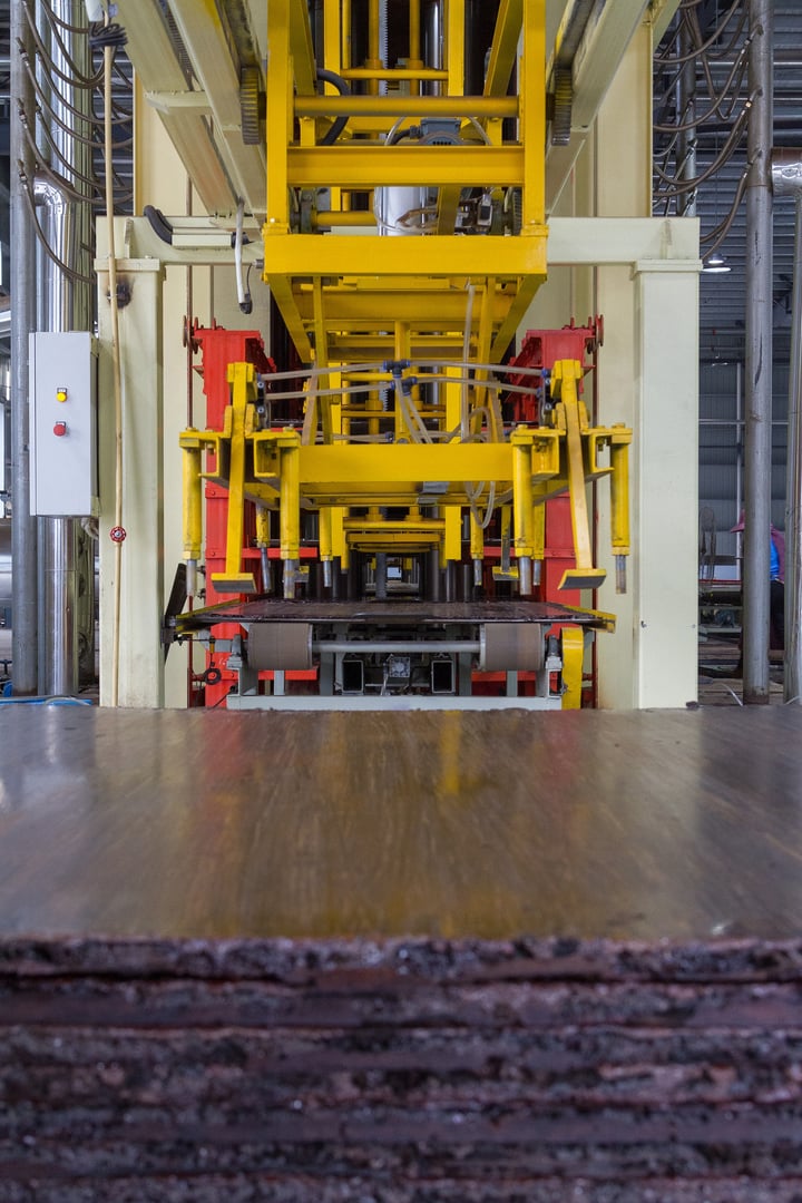 MOSO announces increase in production Bamboo X-treme