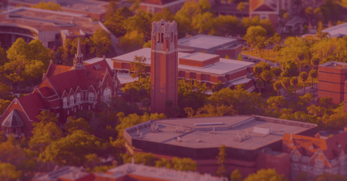 Artificial Intelligence and Litigation Strategies: The Compressed Course