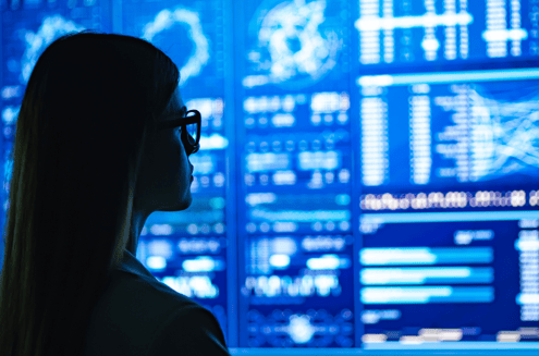 Data Scientist Image