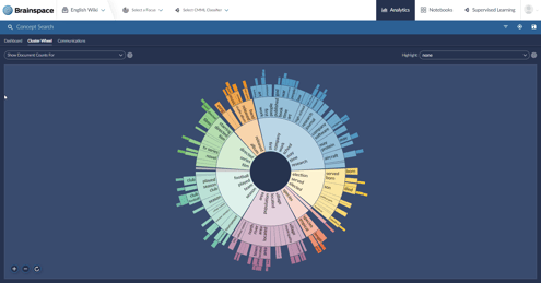 Brainspace Cluster Wheel