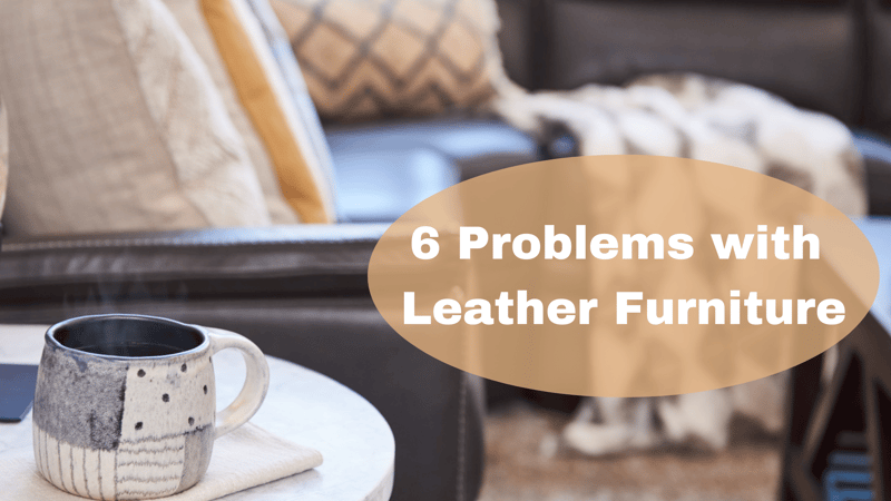 6 Common Problems with Leather Furniture: Expert Tips on Prevention & Treatment