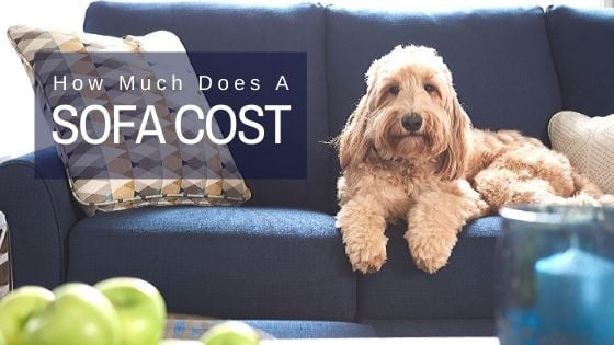 How Much Does a Sofa Cost?