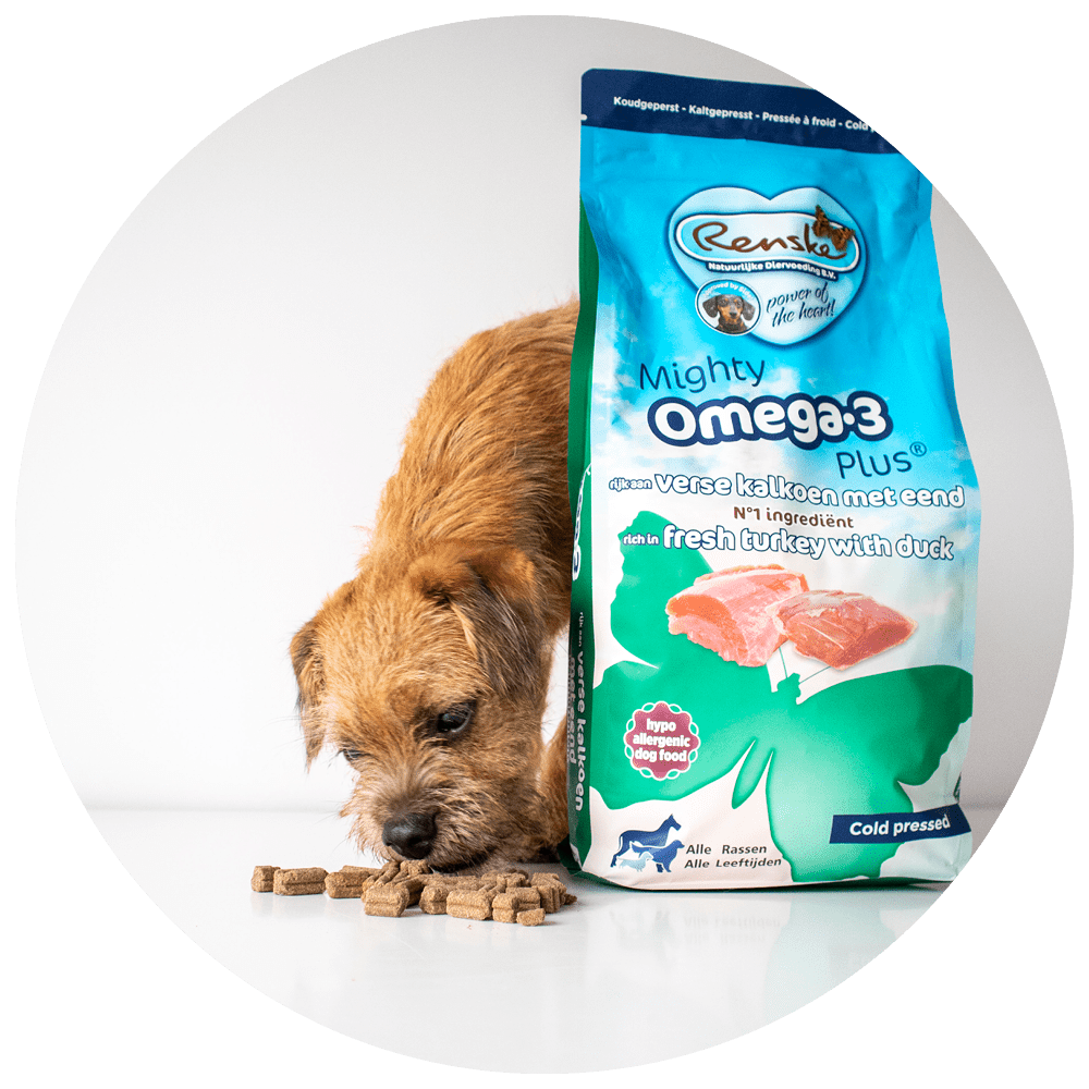 mighty meaty dog food