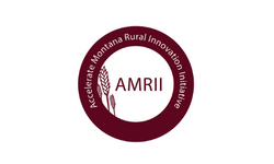 AMRII logo