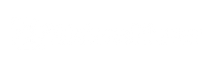 skillslive-wolters-logo