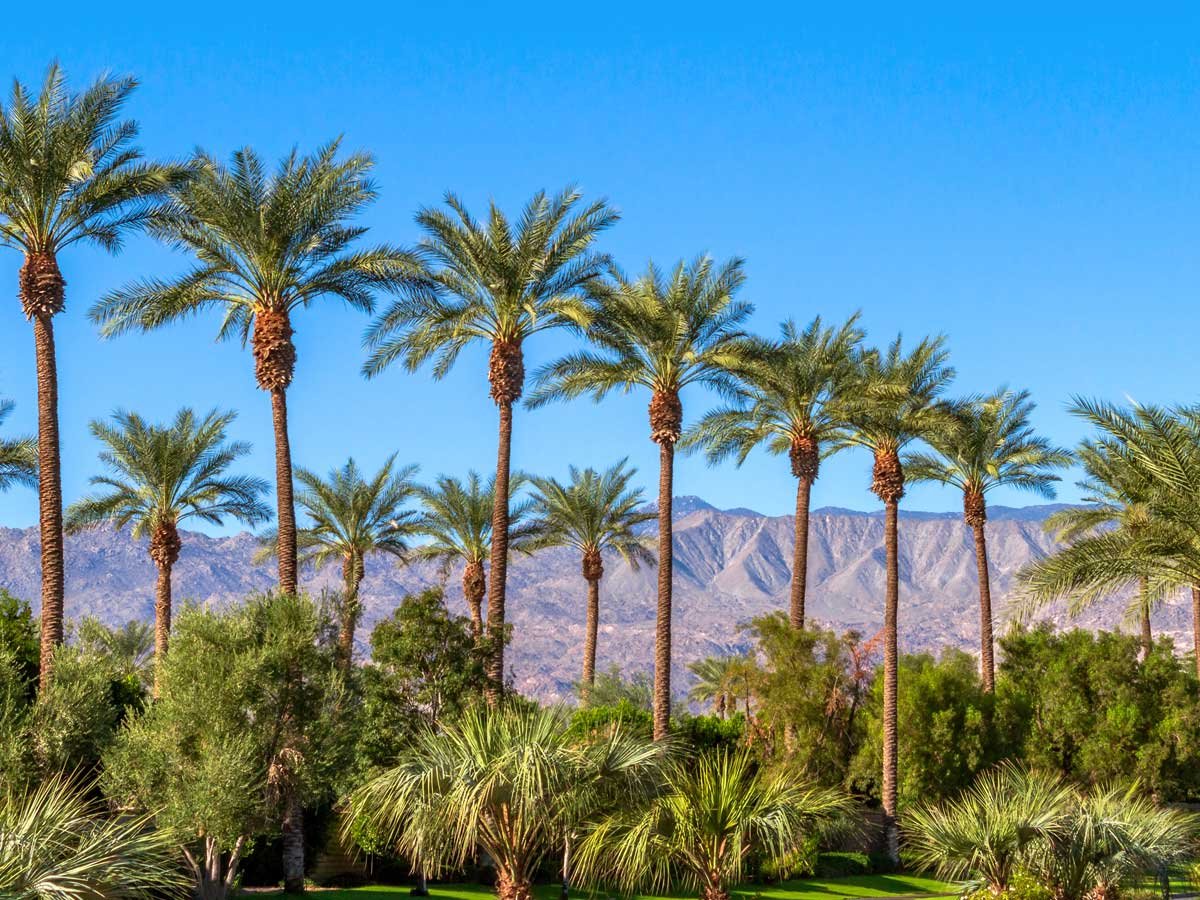 Rancho Mirage's The Springs Country Club