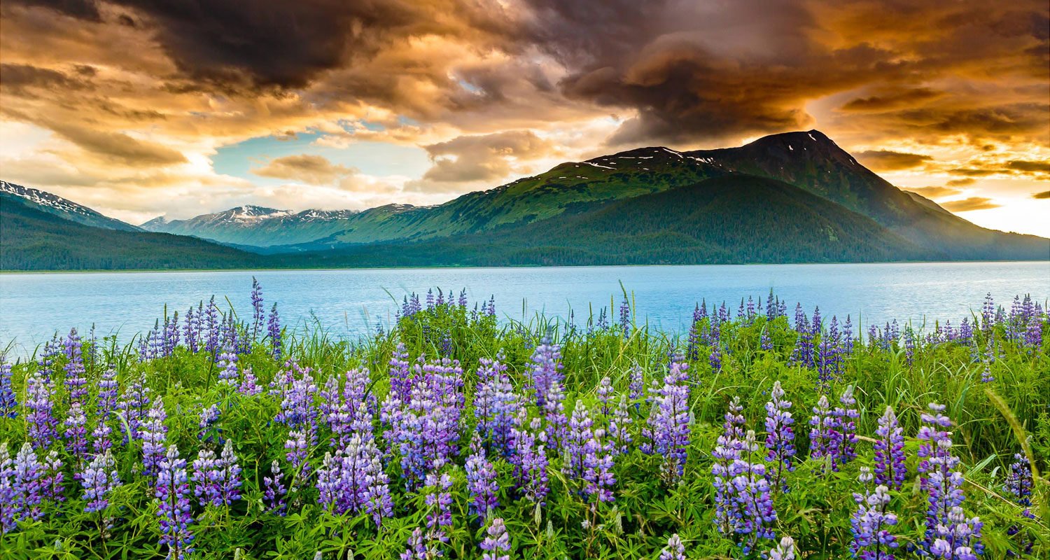 Photo Adventuring in Alaska by Michael DeYoung