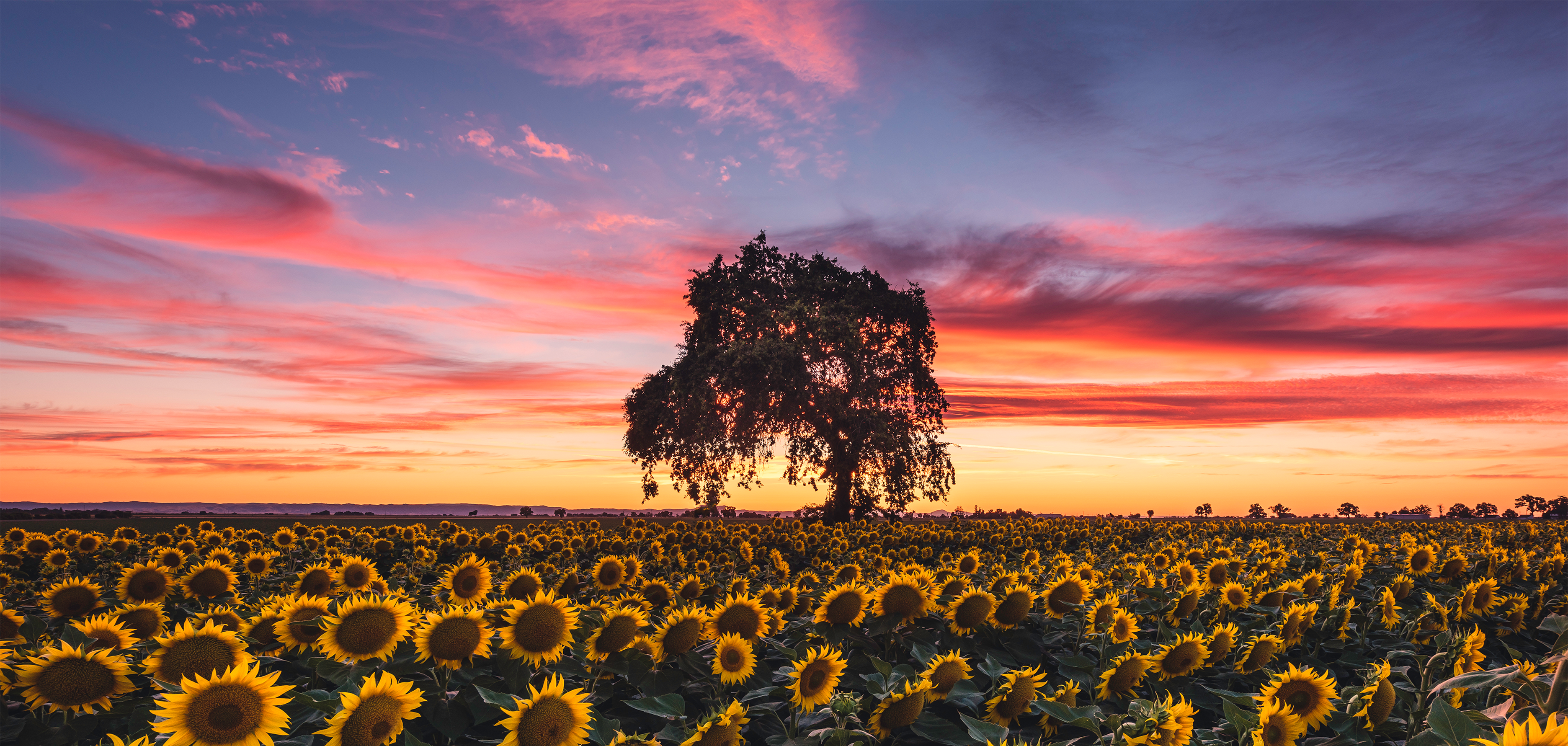 Imagens e fotografias - Getty Images