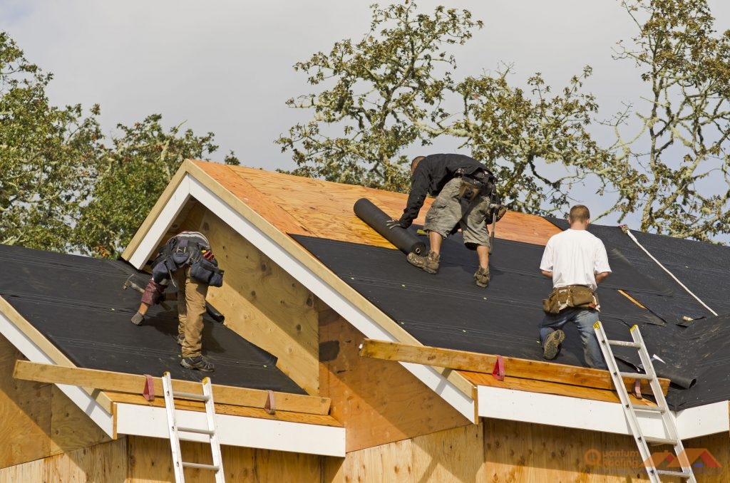 Elite Roofing Professionals