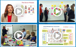Scaling Agile Learning
