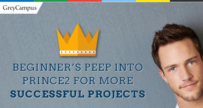 Beginners Peep Into PRINCE2 For More Successful Projects