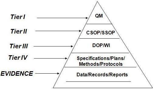 Importance of Hierarchical Organization