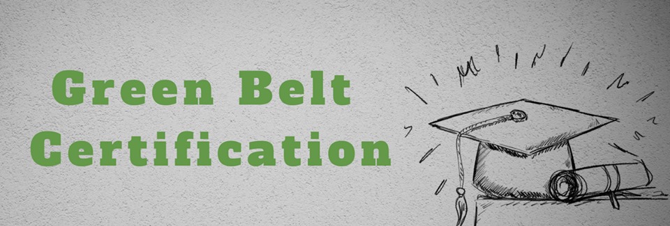 Things You Should Know About Green Belt Certification