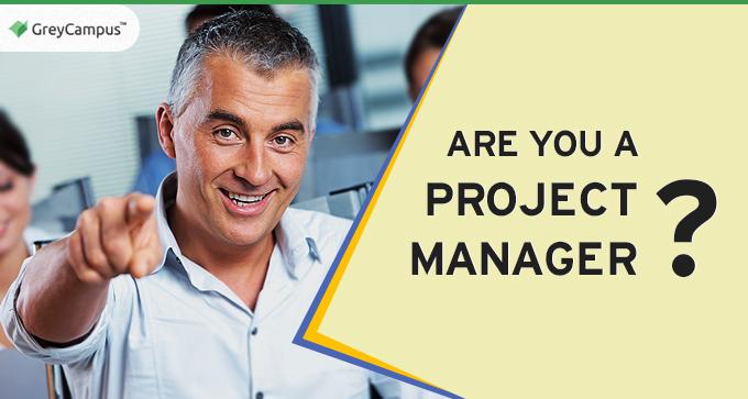 Are You A Project Manager