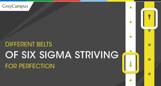 Different Belts Of Six Sigma Striving For Perfection