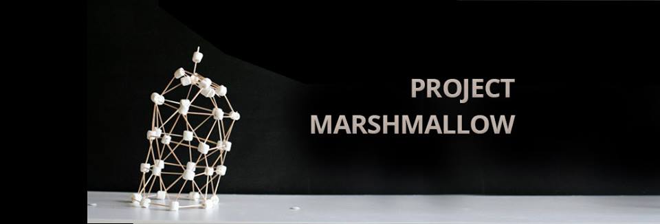 Every Project Has A Marshmallow