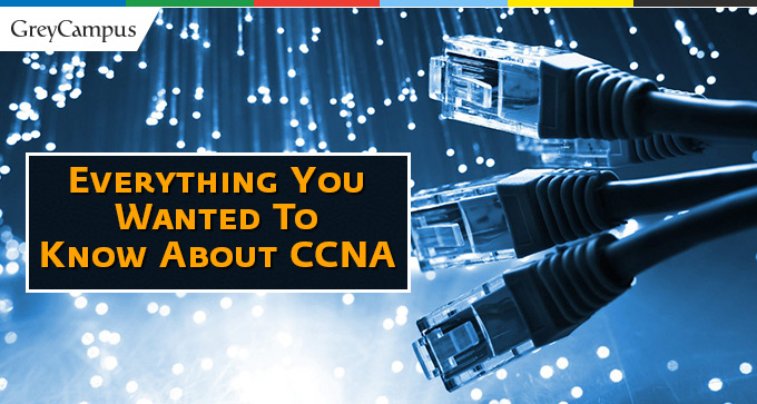 Everything You Wanted To Know About Ccna |Networking
