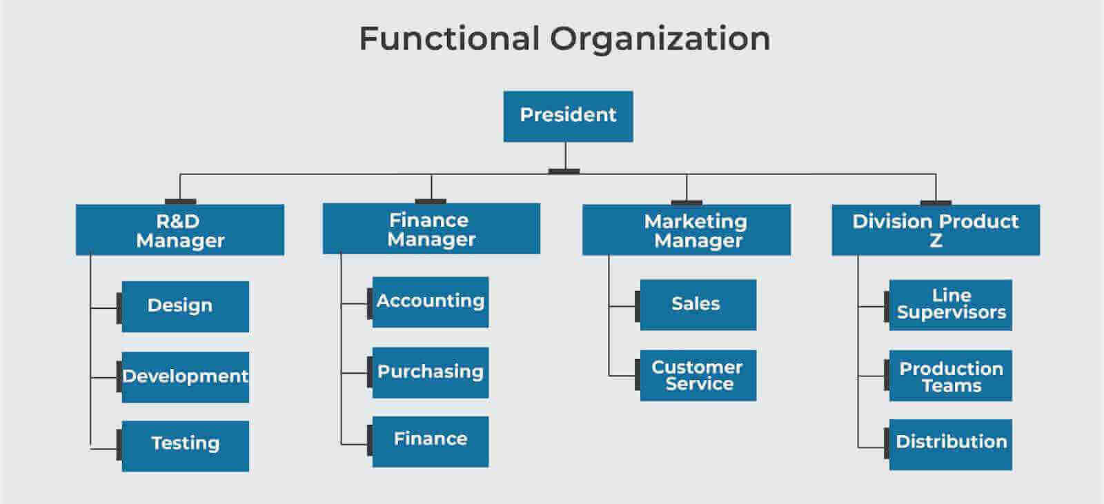 Functional Organization