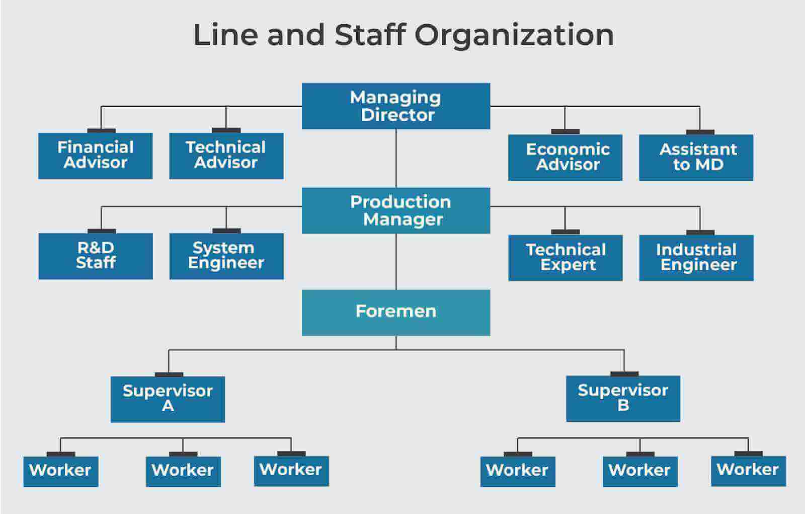 Line and Staff Organization