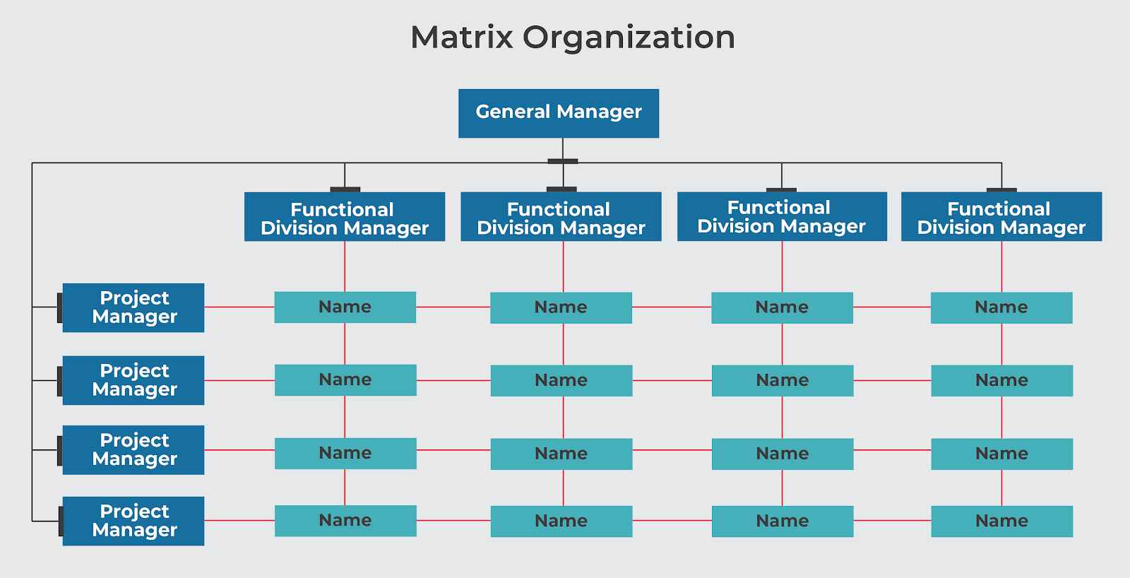 Matrix Organization