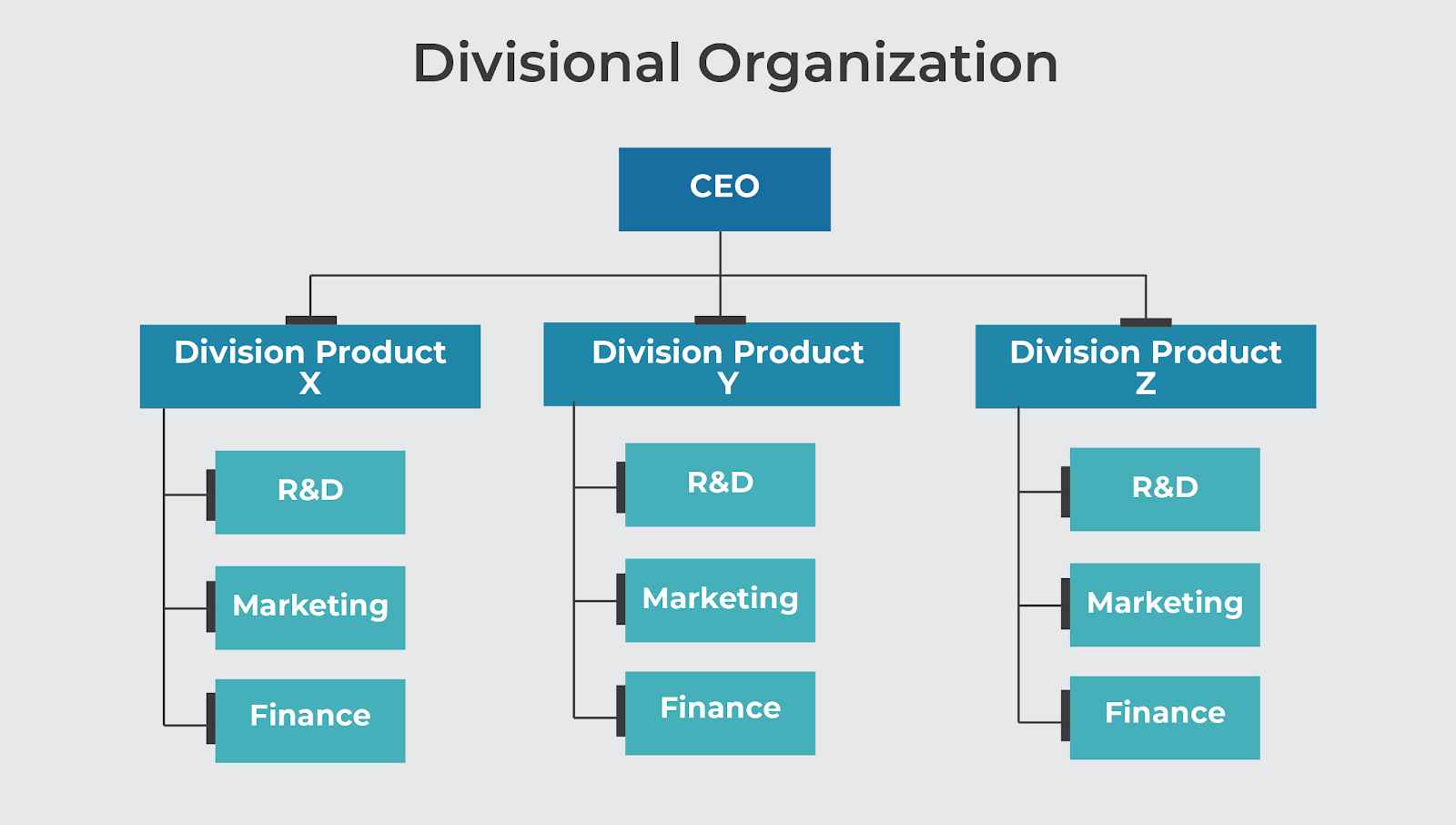 Divisional Organization