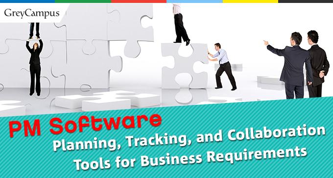 Project Management Software Solutions For Your Business |PM